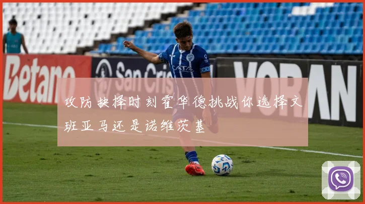 攻防抉择时刻霍华德挑战你选择文班亚马还是诺维茨基
